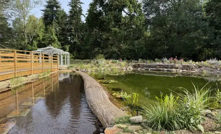 Lac et ponton en bois dans le parc du domaine au vert